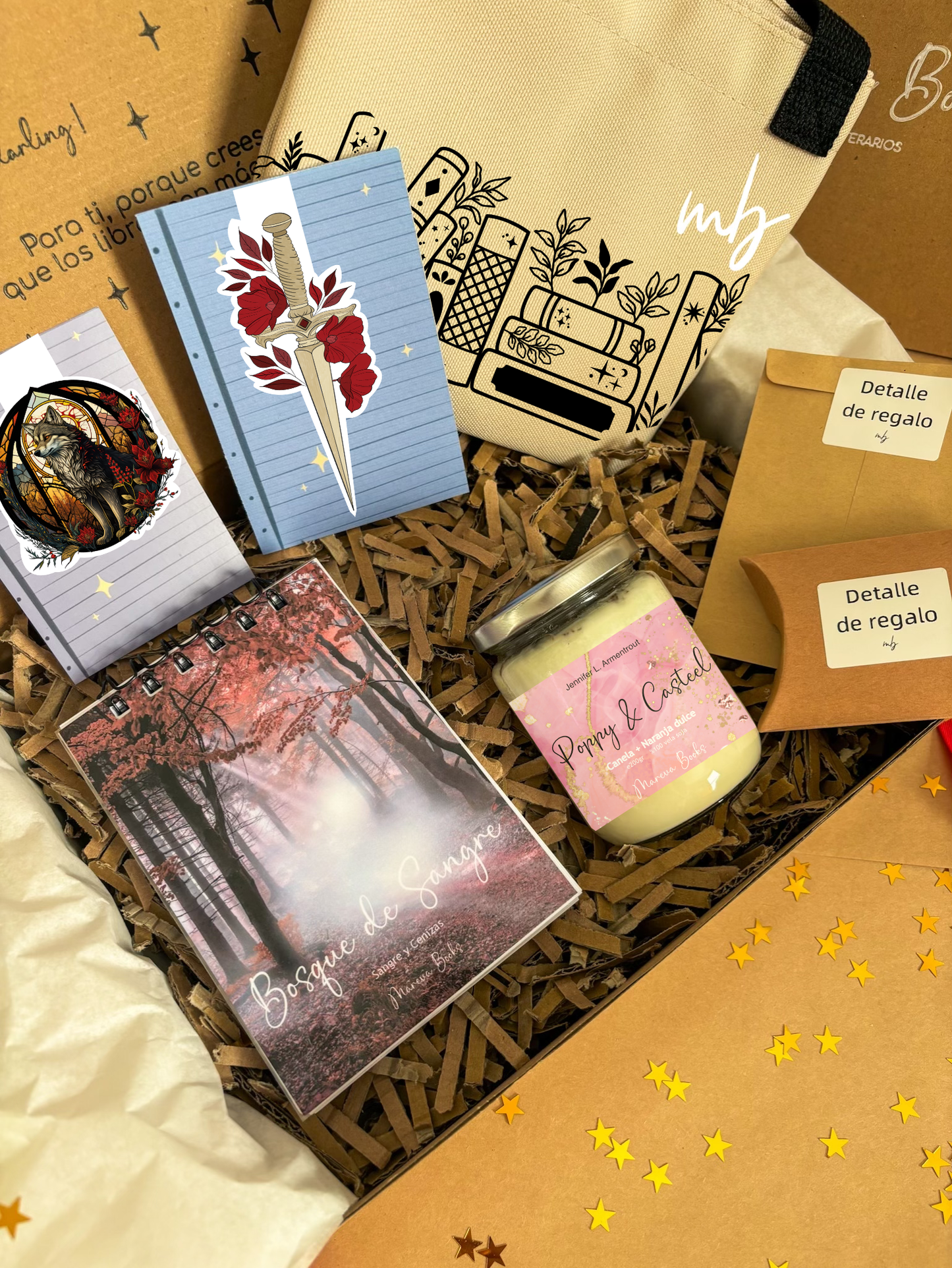 Sangre y Cenizas Caja literaria, bookish